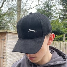 Whippet Lurcher Galgo Podenco