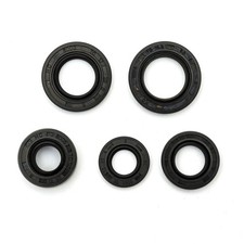 Oil Seal Gasket Set Pit Dirt