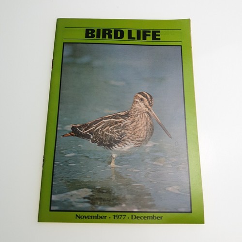 Bird life magazine november - bird,