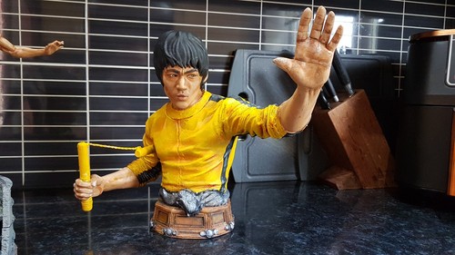 Bruce lee game death - game, bust