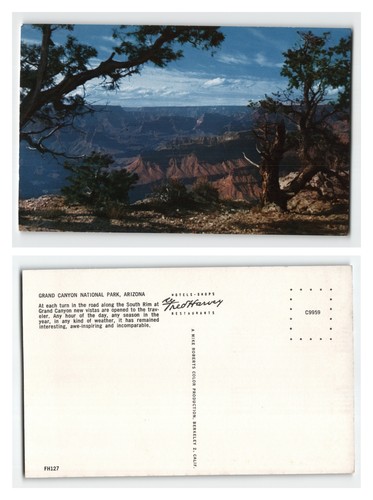 Postcard grand canyon - postcard,