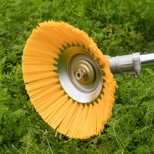 Inch lawn grass - inch,