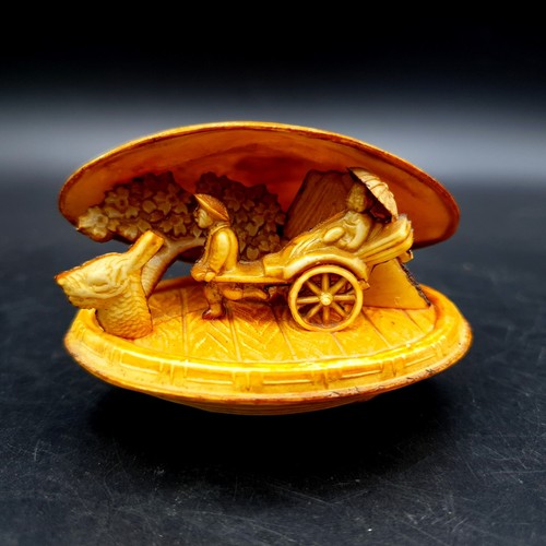 Japanese celluloid clam shell - celluloid,