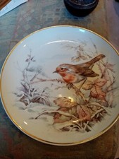 Nbj China Staffordshire robin 