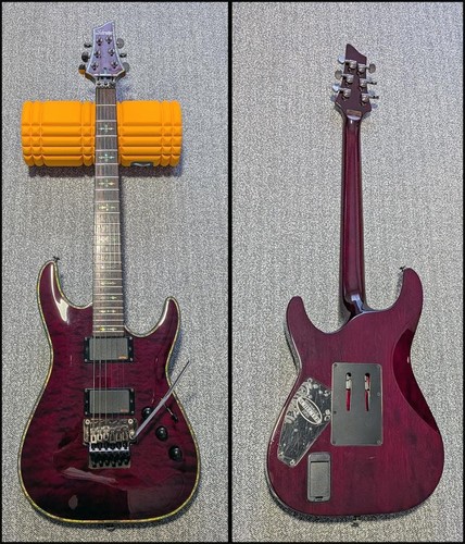 Schecter hellraiser 2012 floyd - 2012,
