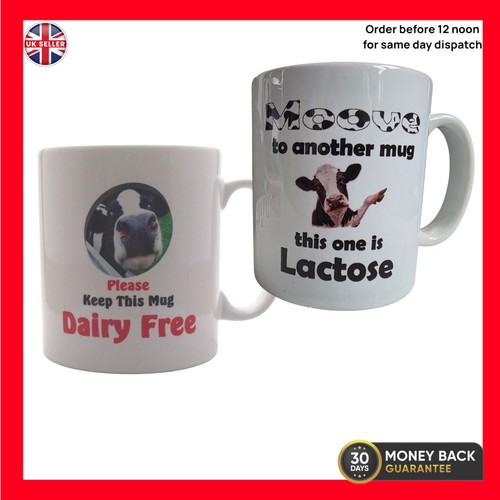 Dairy free lactose - dairy, or