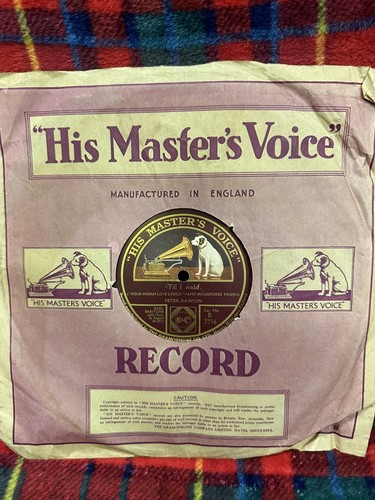 Gramophone shellac record - shellac,