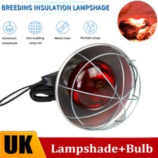 250W Infrared Heat Lamp for