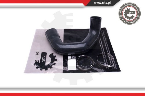 Esen skv 43skv359 charger air - charger,