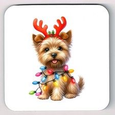 Norfolk Terrier Coaster, Norfolk Terrier Christmas Themed Dog Lovers Coaster