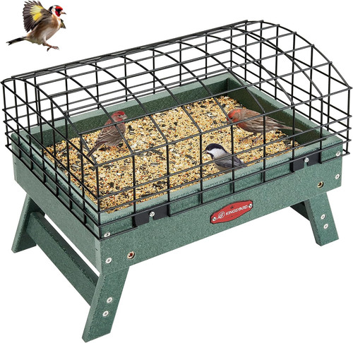 Squirrel proof caged - squirrel, platform