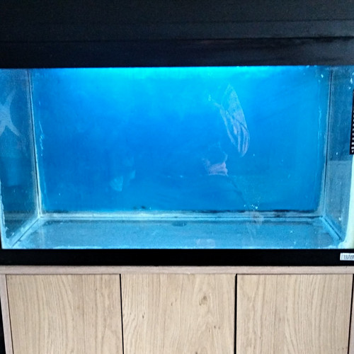 Fluval 125 litre fish tank - 125,