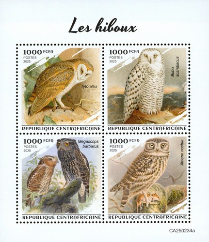 Owls birds prey owl - owls, /