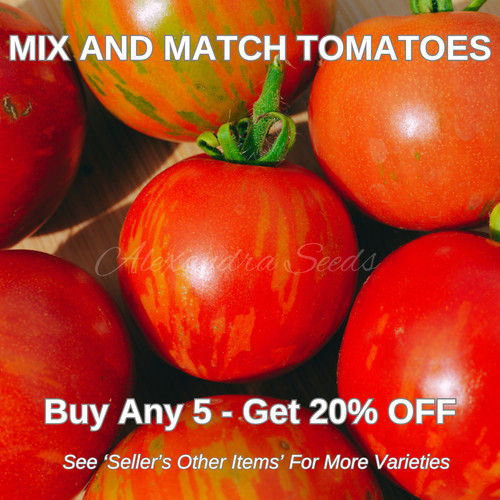 Tomato tigerella 20 - -,