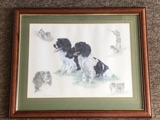 Nigel Hemming Springer Spaniel print FRAMED