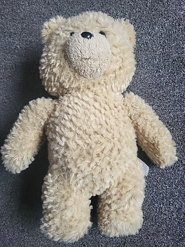 Talking ted teddy - ted,