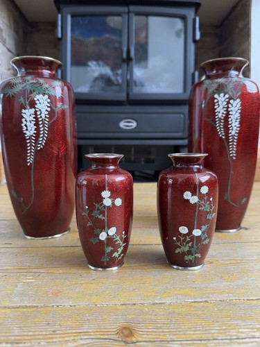 Japanese pigeon blood - 4, x