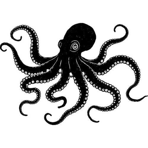 Happy octopus unmounted - octopus,