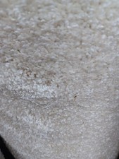 Cheap Great Quality Carpet Santorini Hessian Back 0.85x4.00