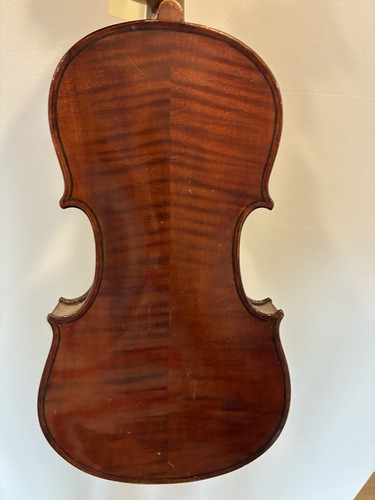 English violin maidstone - english,