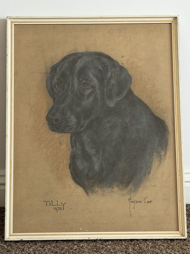 Vintage 1972 black labrador - 1972,