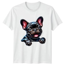 Adorable French Bulldog Puppy