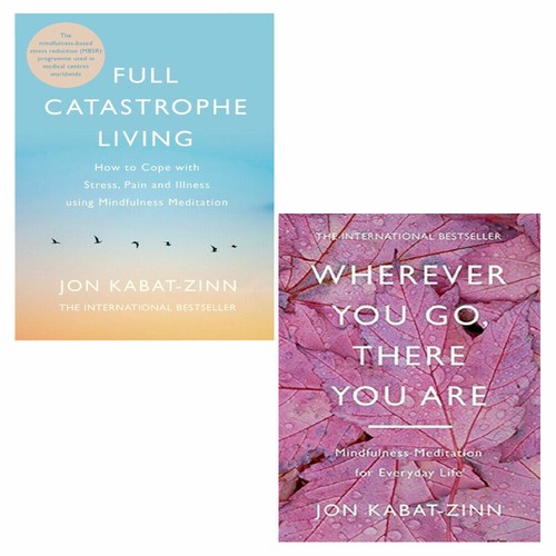Jon kabat zinn books - 2,