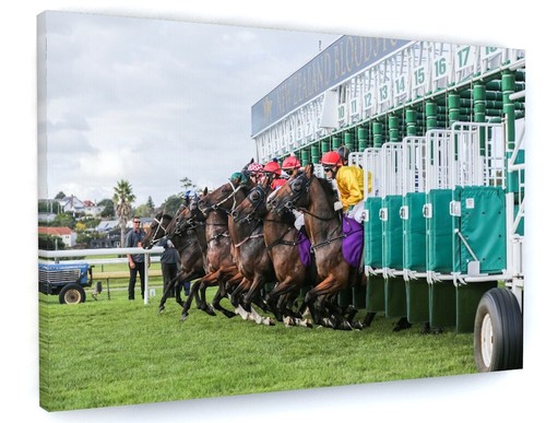 Horse racing canvas picture - horse,