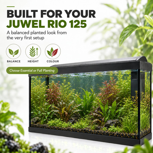 Juwel rio 125 aquarium - juwel,