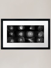 The Particle Zoo Framed Art