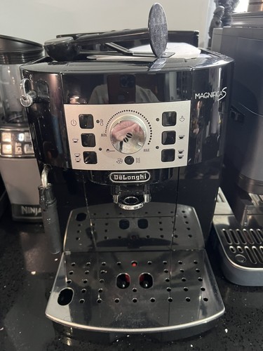 Longhi magnifica s - magnifica,