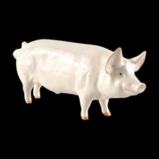 BESWICK Porcelain Figurine of Pig / Boar Ch Wall Champion Boy 53rd