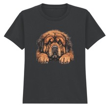 Tibetan Mastiff Dog Animals