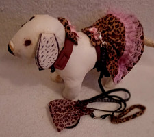 Small Dog Harness & Lead -