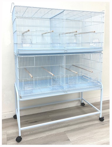 Large double breeding flight - breeding,