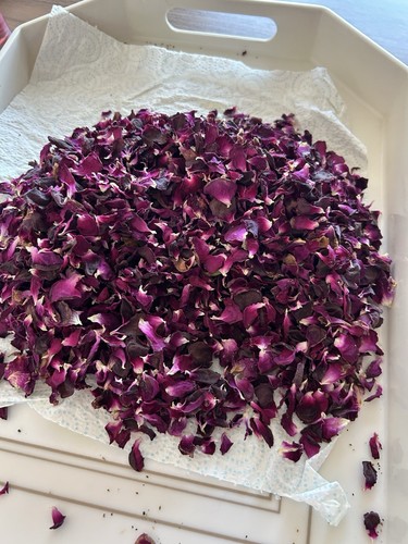 Natural dried flower - dried,