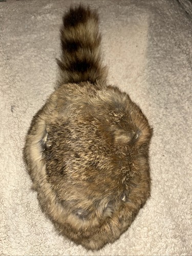 Vintage davy crockett coonskin - vintage,