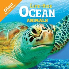 Life-Size Ocean Animals,Igloo Books