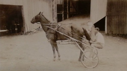 Antique photo man - rides, stable