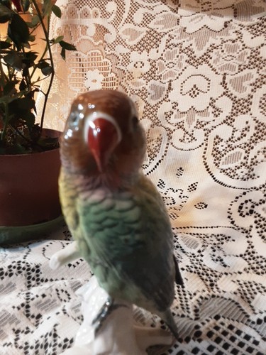 Karl ens lovebird figurine - karl,