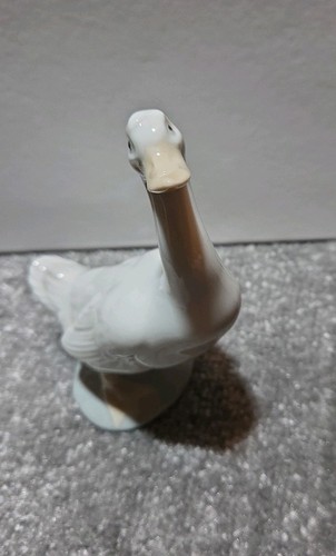 Nao patito optamista - nao:,