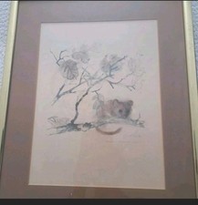 Vintage 1976 Mads Stage X 4 Pictures Squirrel Mouse Rabbits Stag Signed + Framed