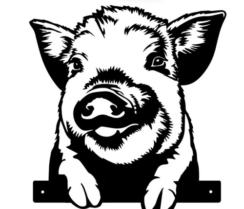 Pig peeking black silhouette - pig,