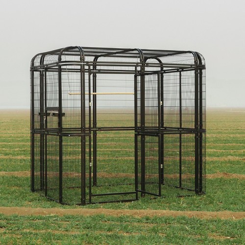 Walk large metal aviary - walk,