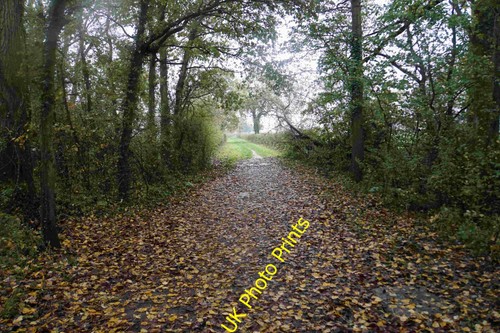 Photo bridleway towards - photo,