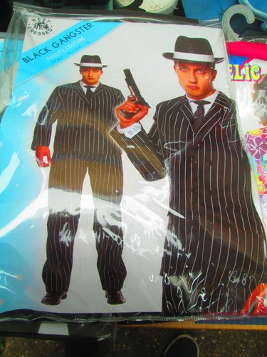 Adult fancy dress henbrant - fancy,