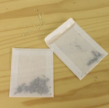 20 Glassine Seed Storage