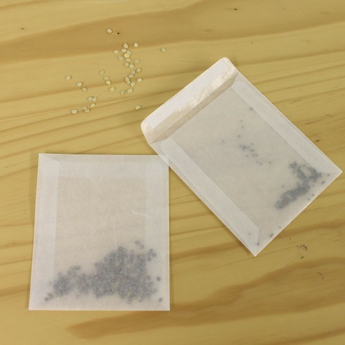 Glassine seed storage - seed,