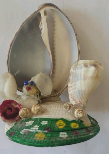 Sea shells coastal beach - coastal,