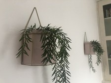 Hanging plant pot wall planter light pink - 2 available 